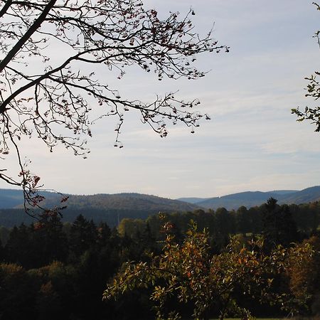 Landgasthof Gruss Brilon Exterior foto
