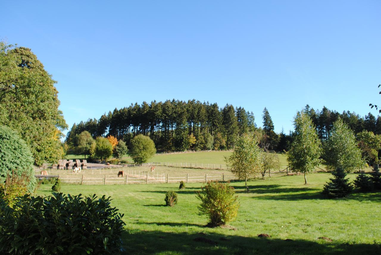 Landgasthof Gruss Brilon Exterior foto