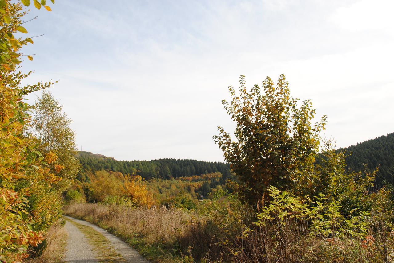 Landgasthof Gruss Brilon Exterior foto
