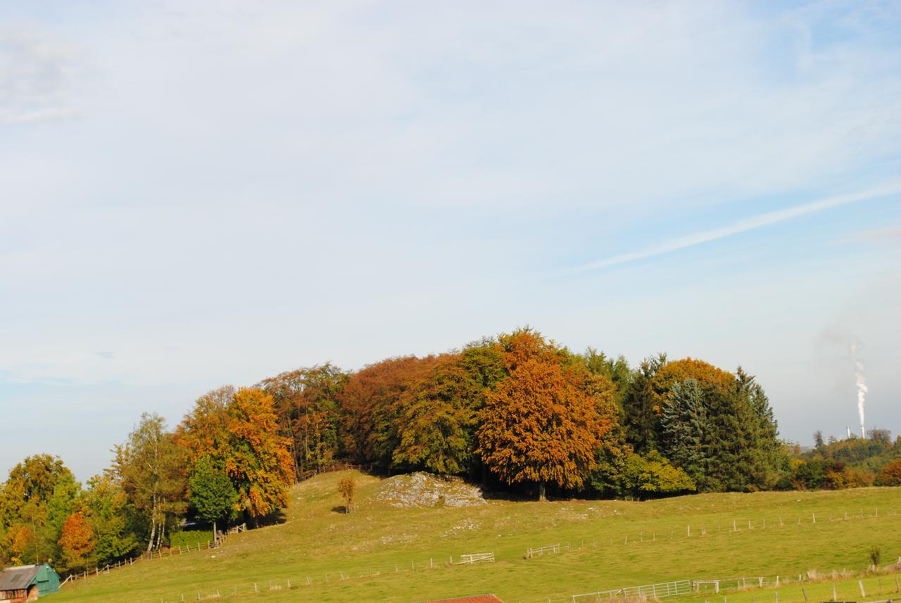 Landgasthof Gruss Brilon Exterior foto